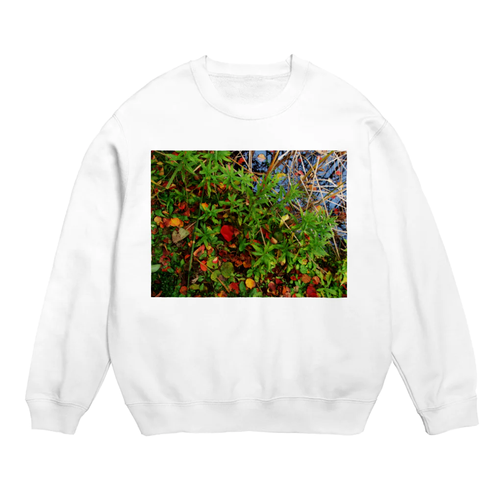 hiroki-naraの秋の水辺　DATA_P_145 Crew Neck Sweatshirt