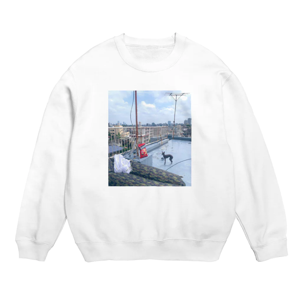 エジプトの屋上って実は海で Crew Neck Sweatshirt