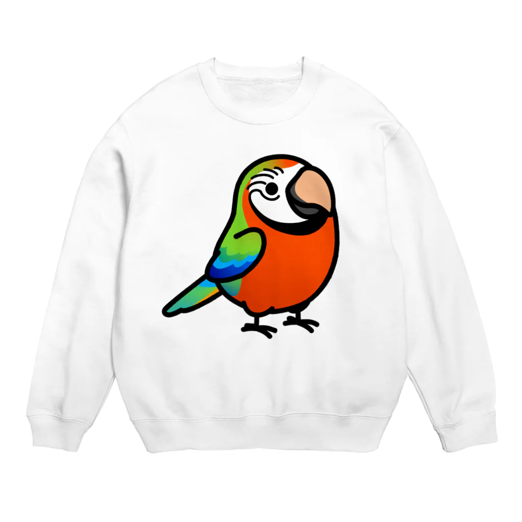 Cody the LovebirdのChubby Bird ハルクインコンゴウインコ Crew Neck Sweatshirt