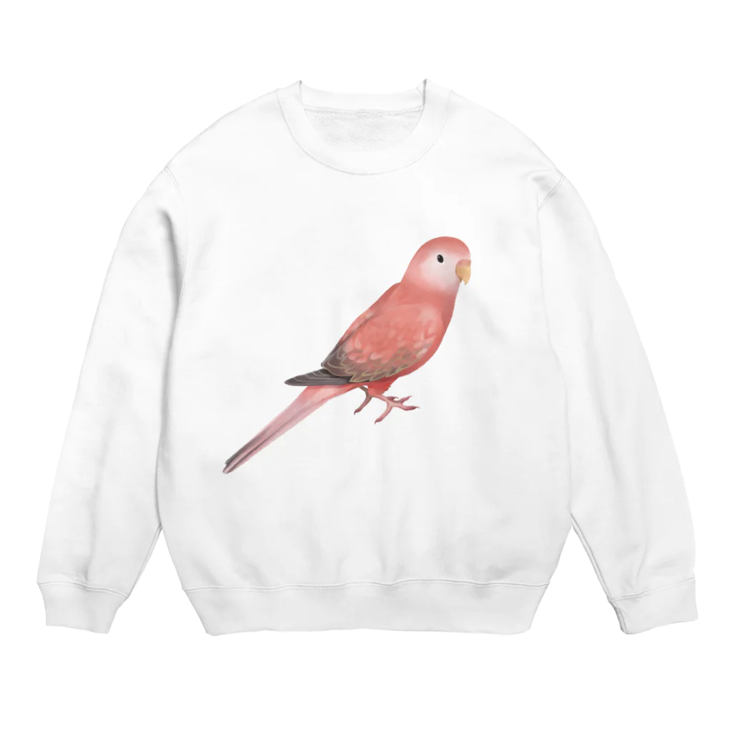 まめるりはことりのアキクサインコ　ピンク【まめるりはことり】 Crew Neck Sweatshirt