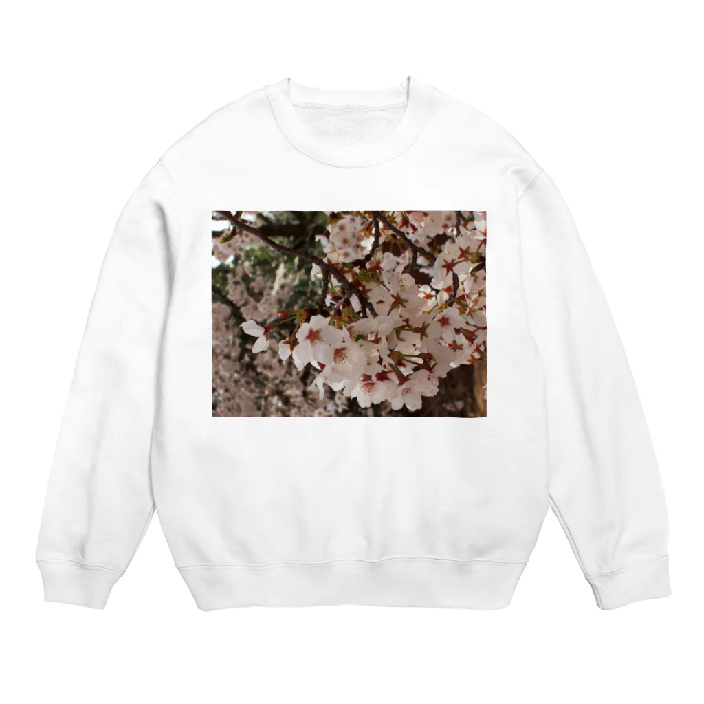 hiroki-naraの桜　サクラ　cherry blossom DATA_P_152　春　spring Crew Neck Sweatshirt