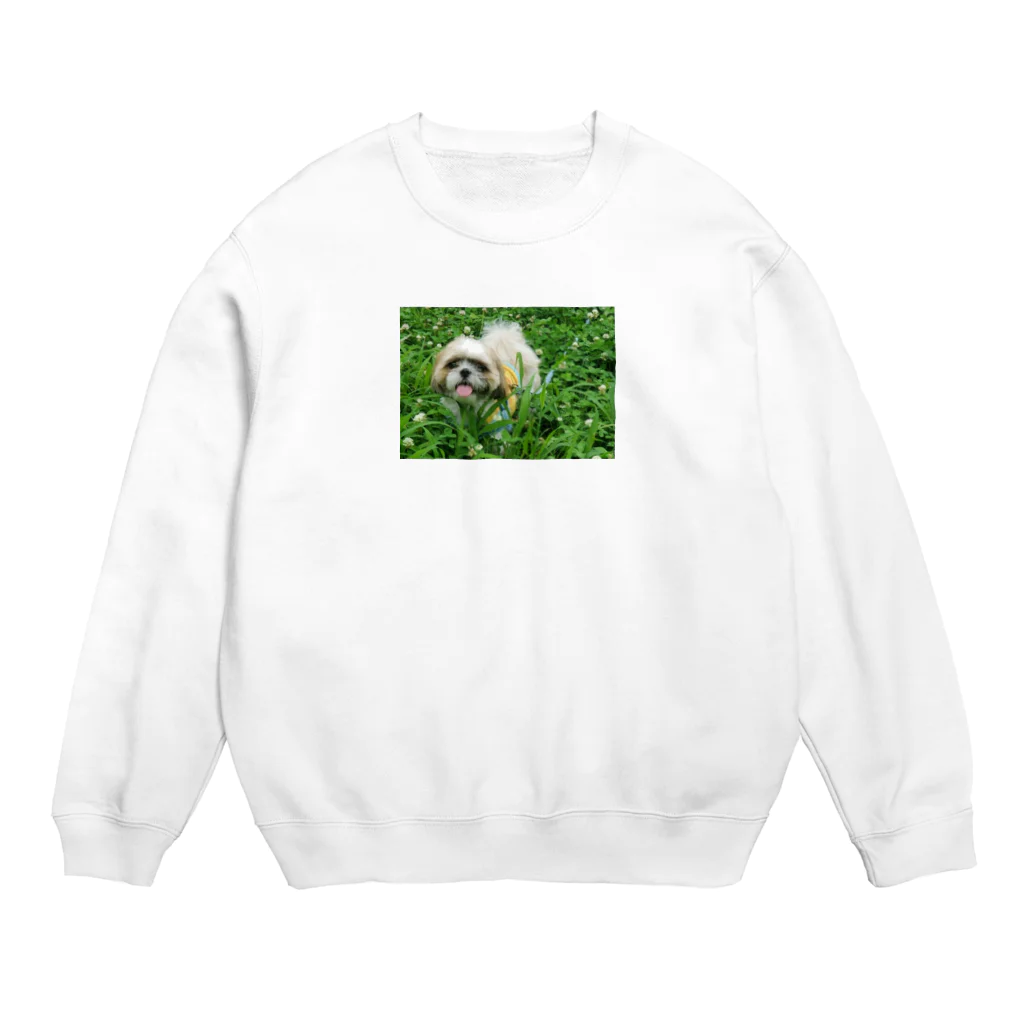 こがちゃんの草原のレオくん Crew Neck Sweatshirt