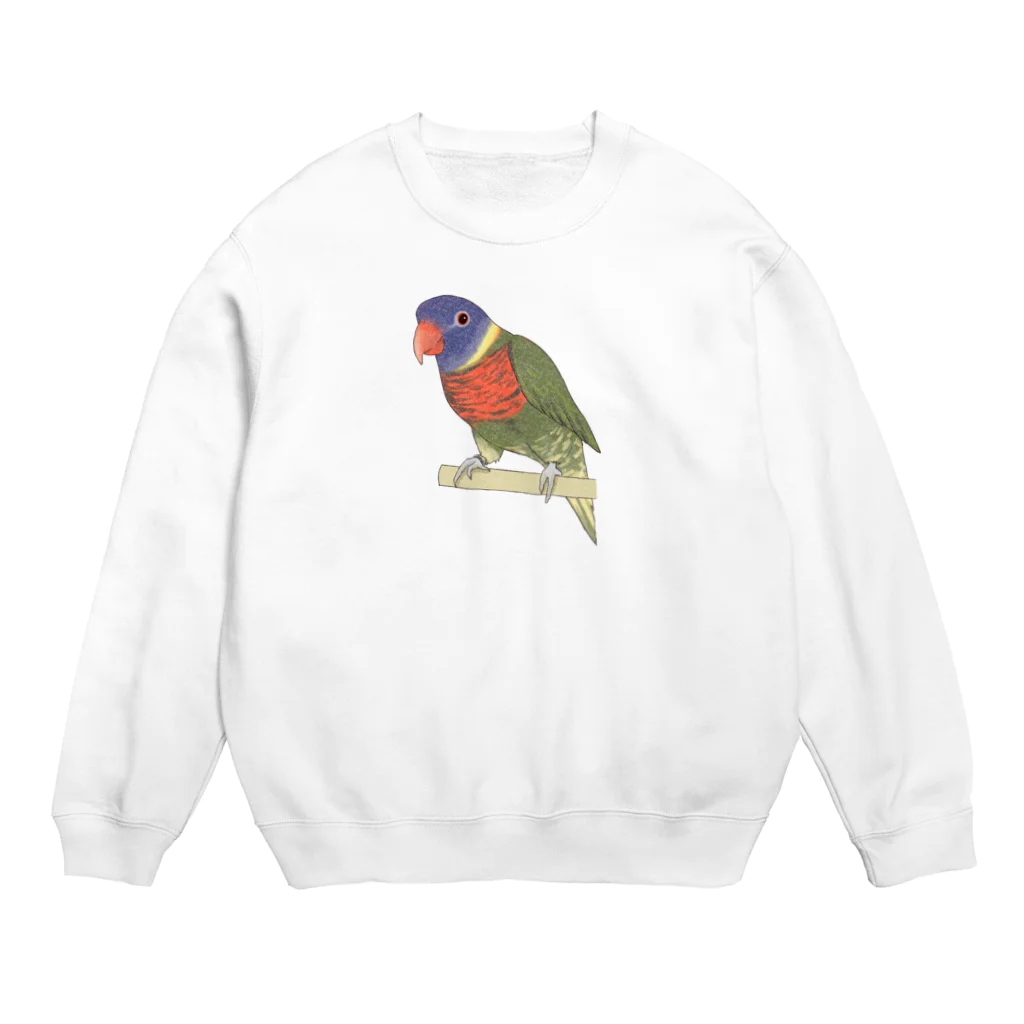 まめるりはことりの色合いが綺麗なゴシキセイガイインコちゃん【まめるりはことり】 Crew Neck Sweatshirt