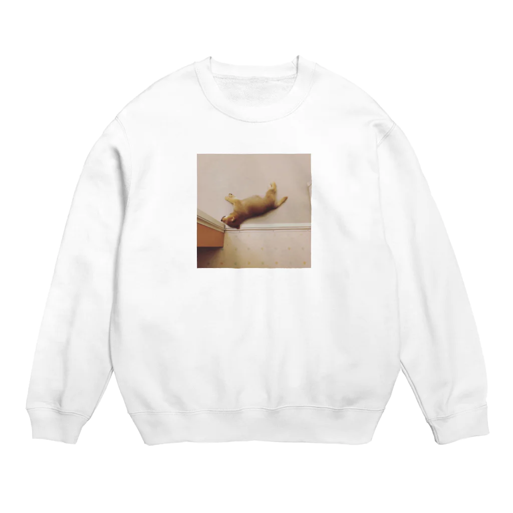 こはるちゃん(柴犬の女の子、2020年6月生まれ)のこはるちゃん6？ Crew Neck Sweatshirt