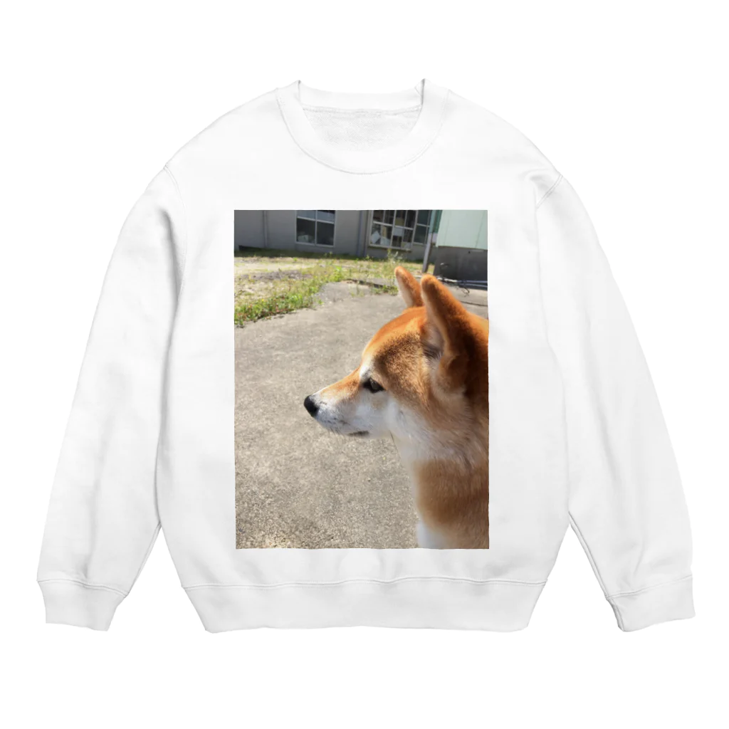 華柴の華柴 Crew Neck Sweatshirt