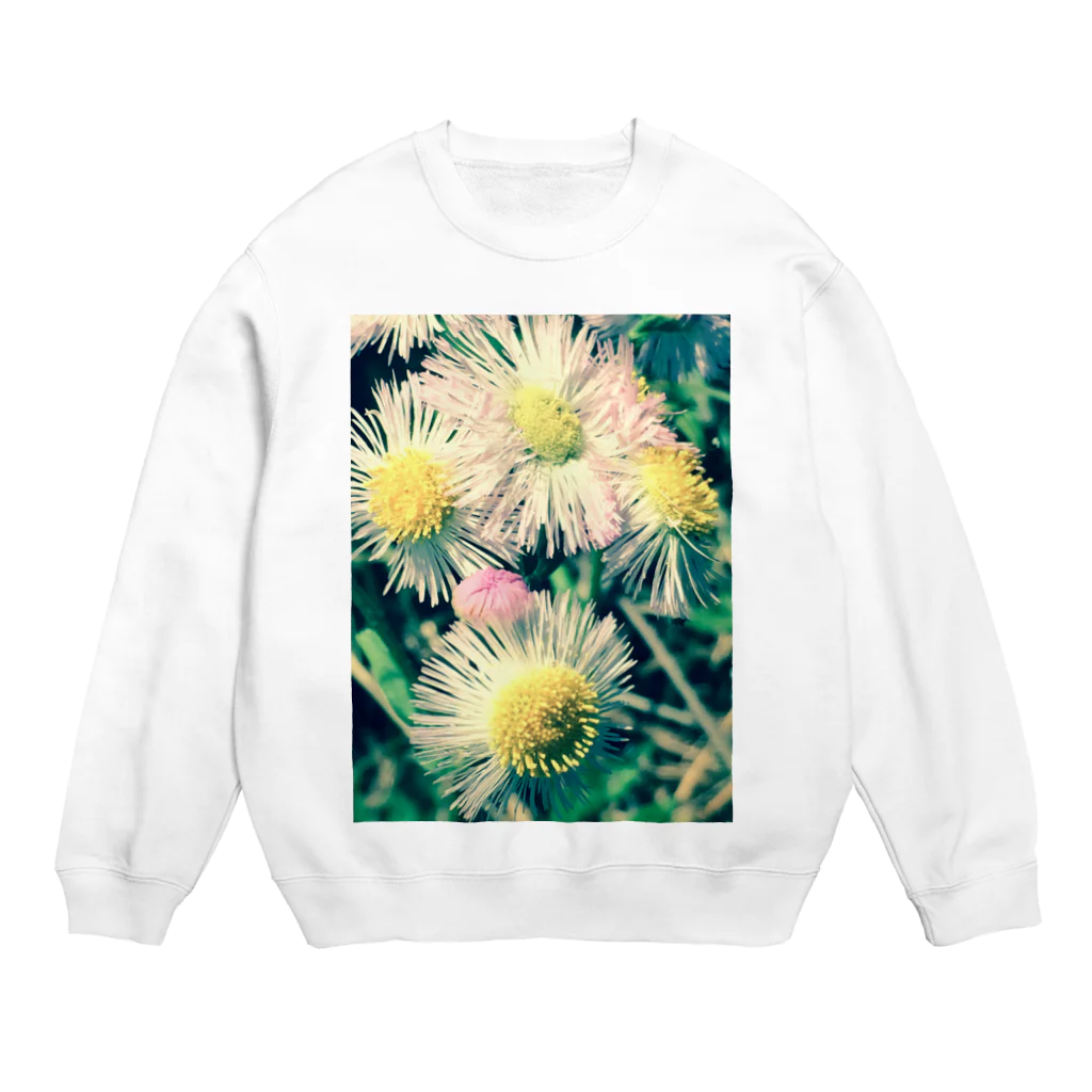 kasumiyolosiyomisuのハルジオン Crew Neck Sweatshirt