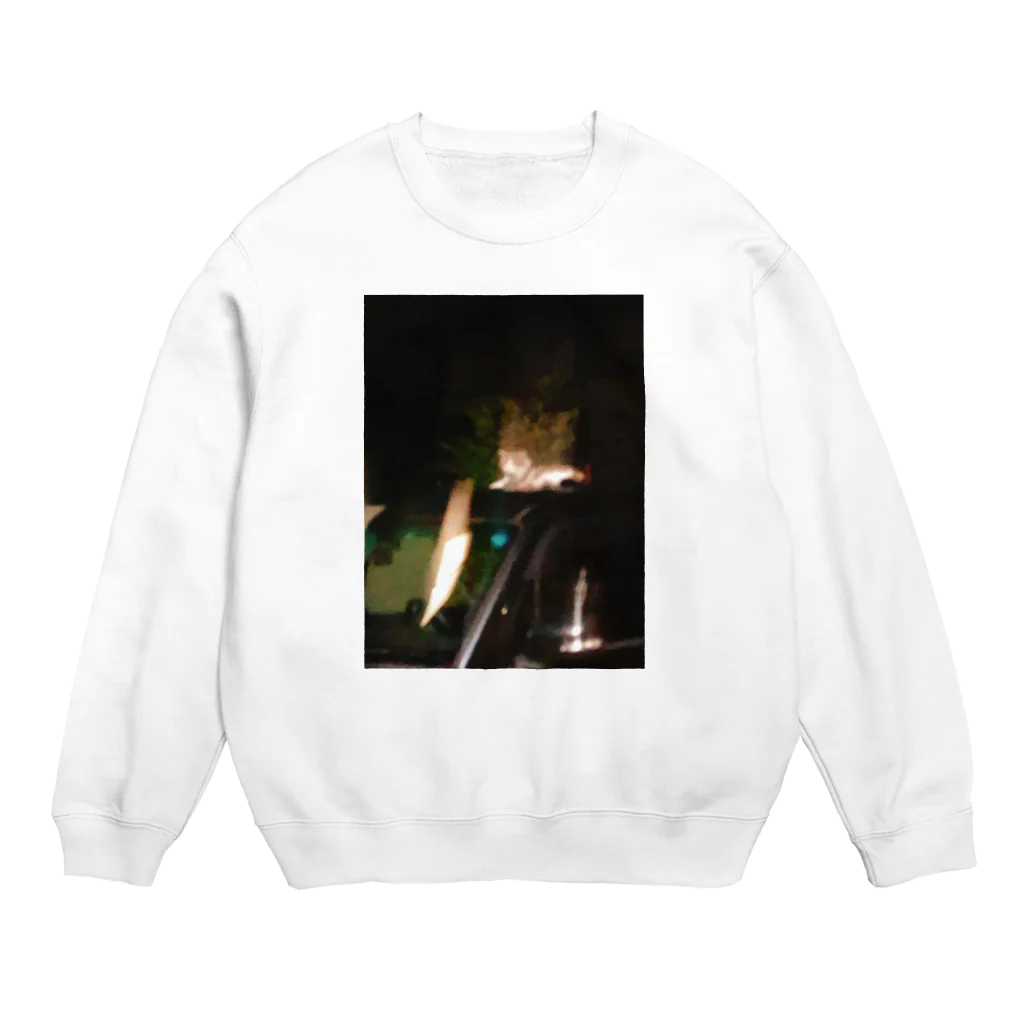 わびしさのｶﾞﾋﾞｶﾞﾋﾞﾈｺﾁｬﾝ Crew Neck Sweatshirt