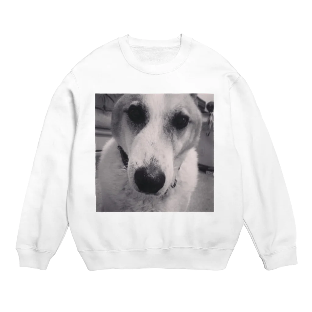 Tomyのdog Crew Neck Sweatshirt