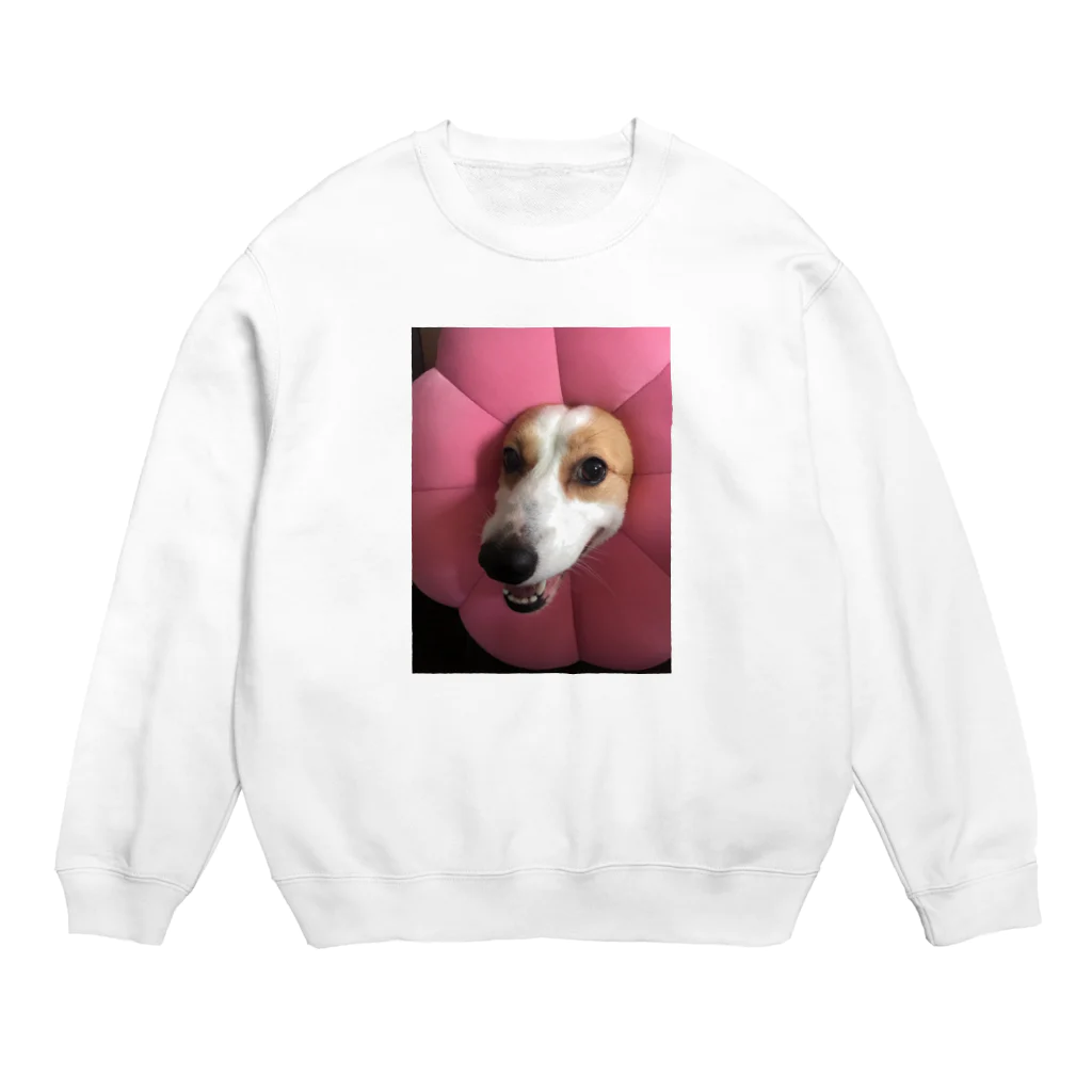   はりねずみのしろっぷのお店の花咲ひなちゃん Crew Neck Sweatshirt