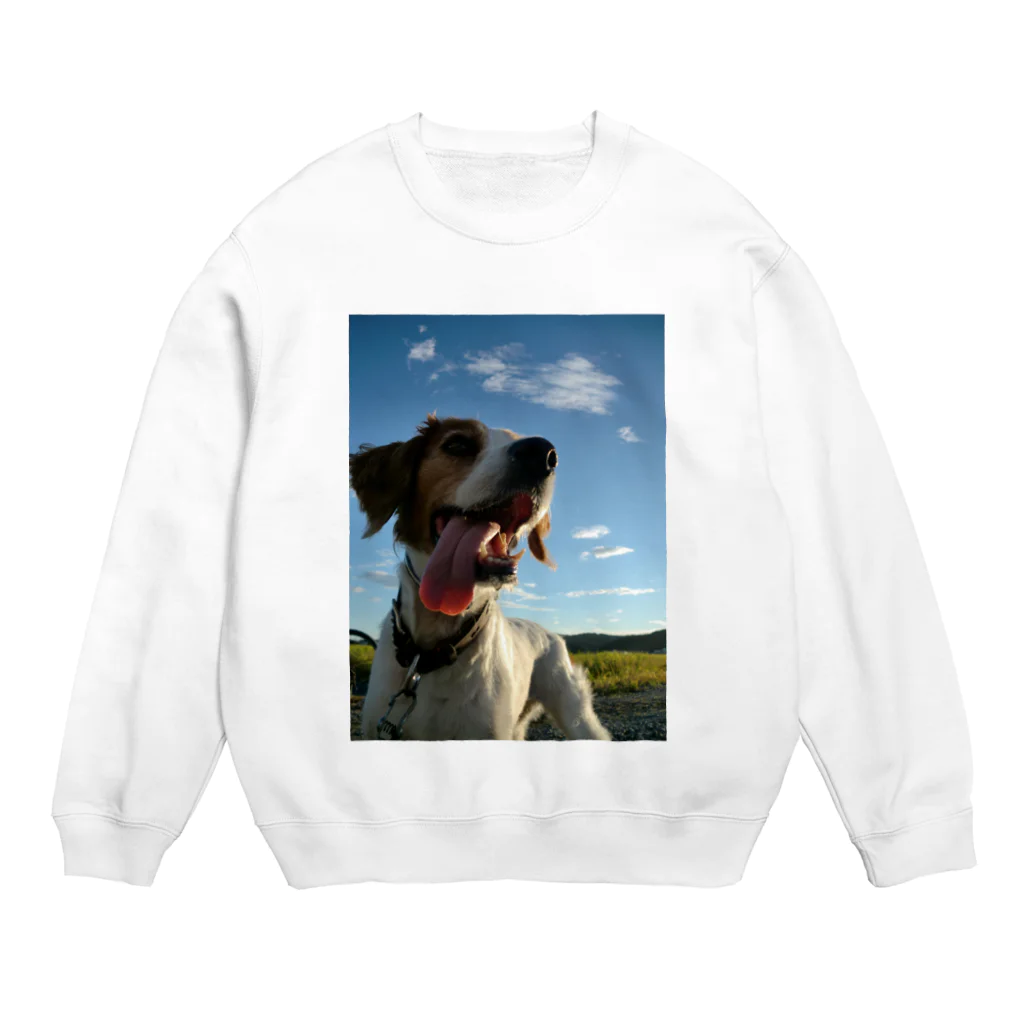 kyuの稲と犬 Crew Neck Sweatshirt