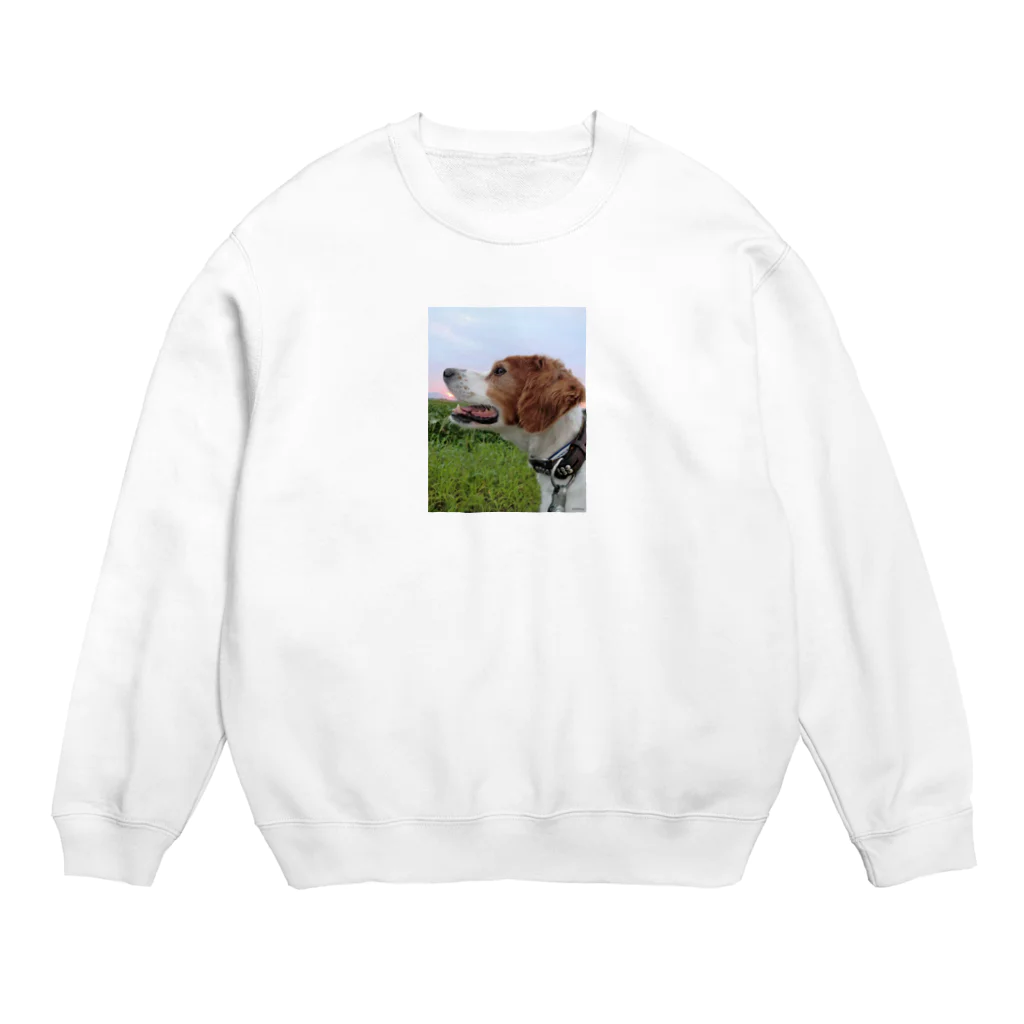 kyuのSunrise dog 2 Crew Neck Sweatshirt