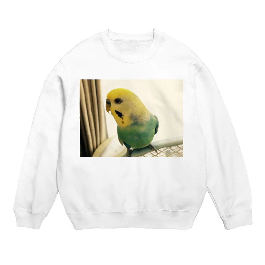 くぼどうぶつえんハジマザいきたかったのいんこ3 Crew Neck Sweatshirt