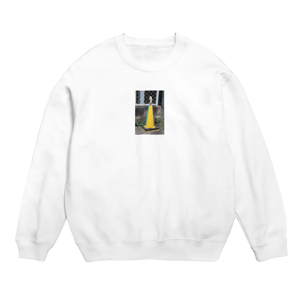 人生のカラーコーンと謎の石 Crew Neck Sweatshirt