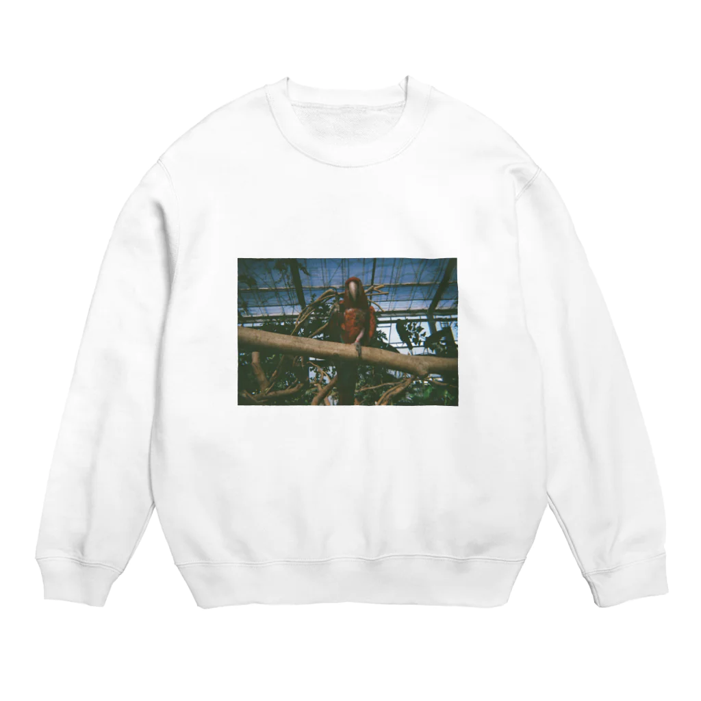 renaのオウムさん Crew Neck Sweatshirt