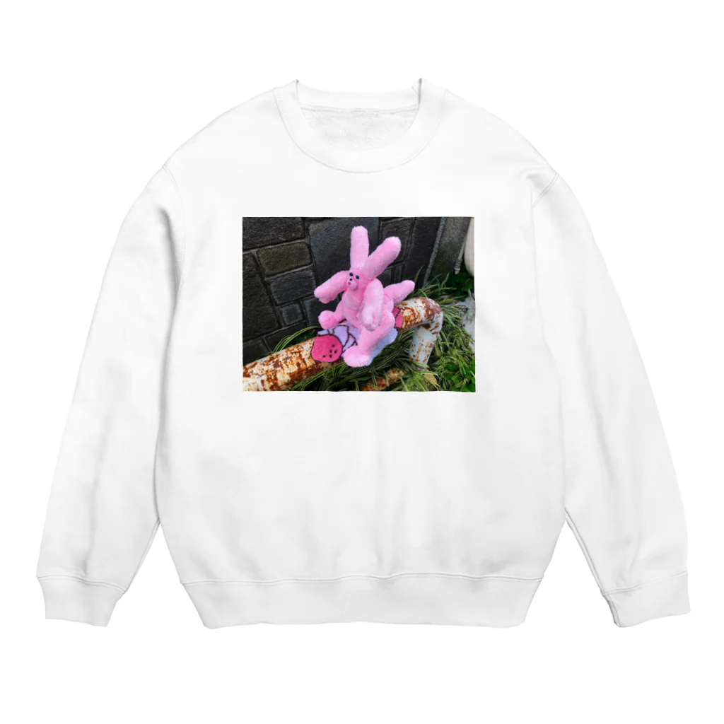 にくもちの赤ちゃん🧸のうさちゃん恐竜の赤ちゃん ぬいぐるみ  Crew Neck Sweatshirt