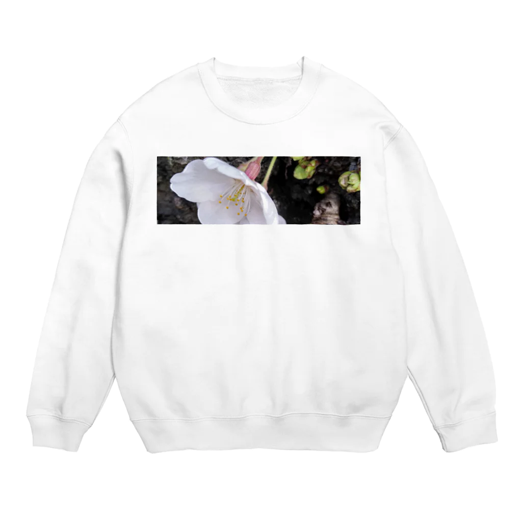 今井康絵公式ショップのサクラの夢 Crew Neck Sweatshirt