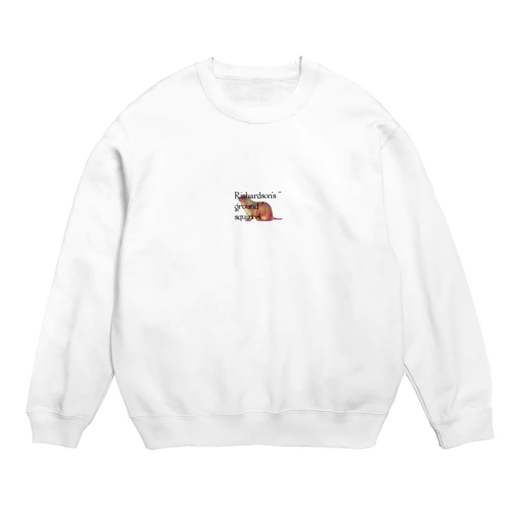 Candyのリチャードソンジリスグッズ Crew Neck Sweatshirt