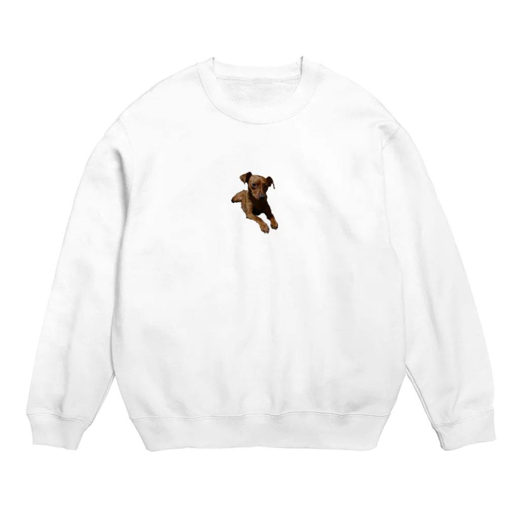 uruchabiの犬　ミニピン　ミニチュアピンシャー Crew Neck Sweatshirt