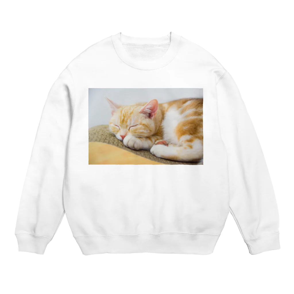 パソコン教室ビギナーのぐっすりねこ Crew Neck Sweatshirt