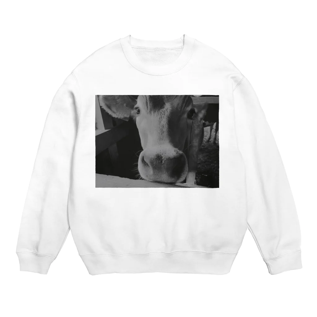 spinのlimited　cow Collection Crew Neck Sweatshirt