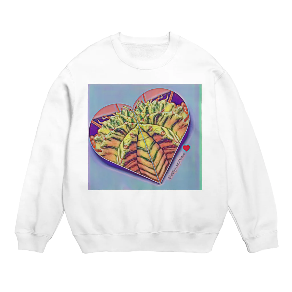 BotaniCodexの観葉植物　メロフォルミス錦 Crew Neck Sweatshirt