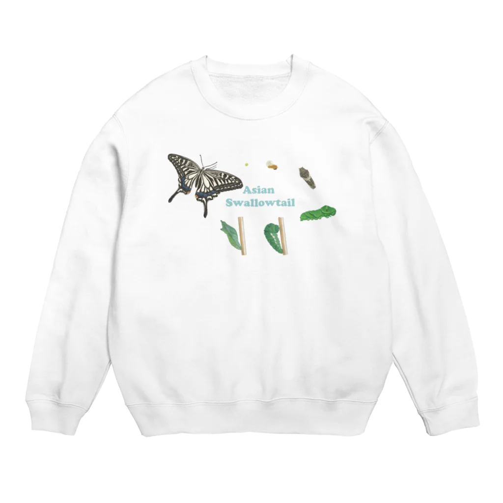 kitaooji shop SUZURI店のナミアゲハの発生サイクル Crew Neck Sweatshirt