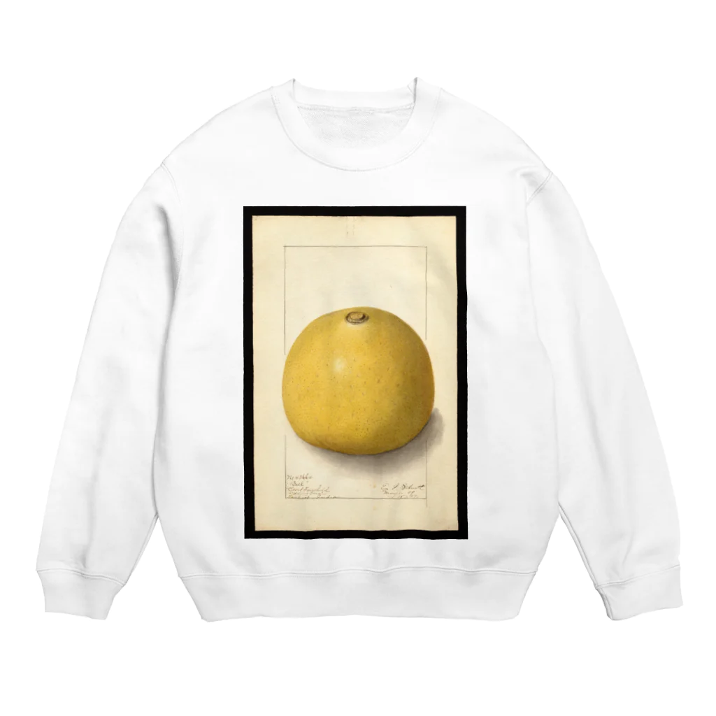 ArtShirtのAegle marmelos  Crew Neck Sweatshirt