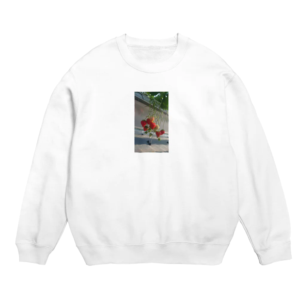 雑貨屋HODLの静岡いちごグッズ Crew Neck Sweatshirt