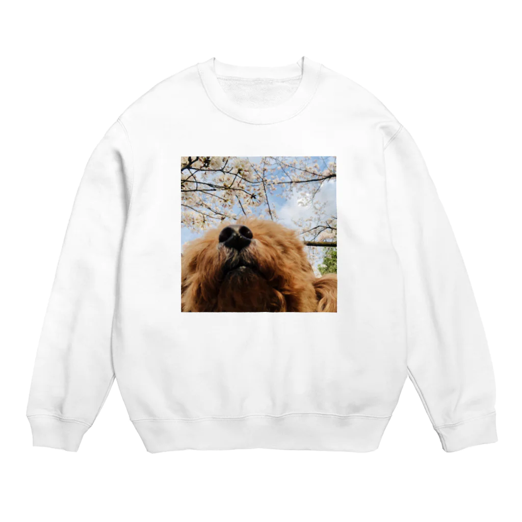 ささみの日常のももちゃんが見る景色〜桜〜 Crew Neck Sweatshirt