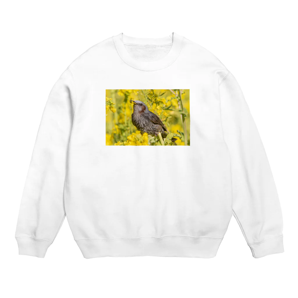 AI生成画像・風景・小物の写真をグッズにしてみましたの菜の花を食べるヒヨドリ Crew Neck Sweatshirt