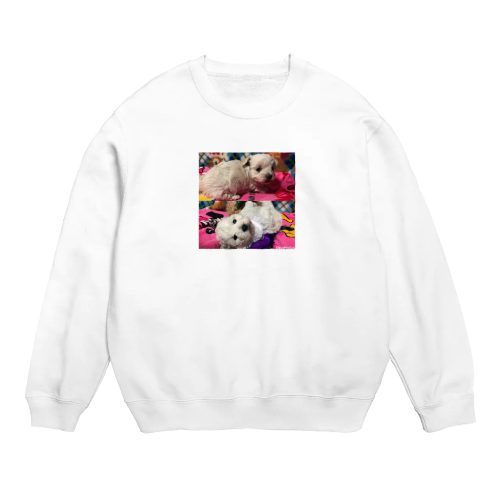 パルナスロデムのマルプー Crew Neck Sweatshirt