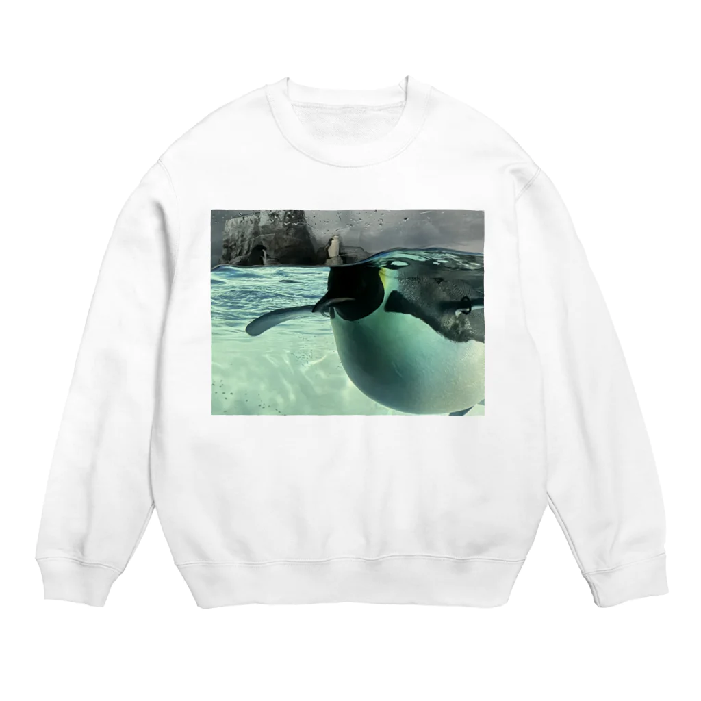 ペンギンの写真のコウテイペンギン　写真　リアル Crew Neck Sweatshirt