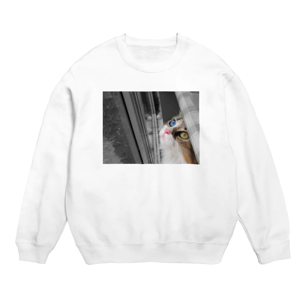 SHOHEI TSUGEのオッドアイ Crew Neck Sweatshirt