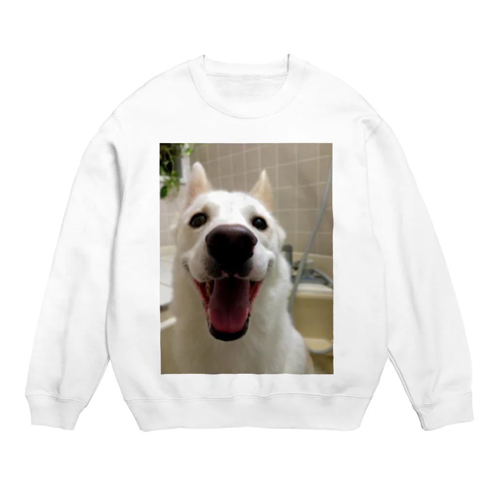 qwerasdfの飼ってる雑種犬のスウェット Crew Neck Sweatshirt