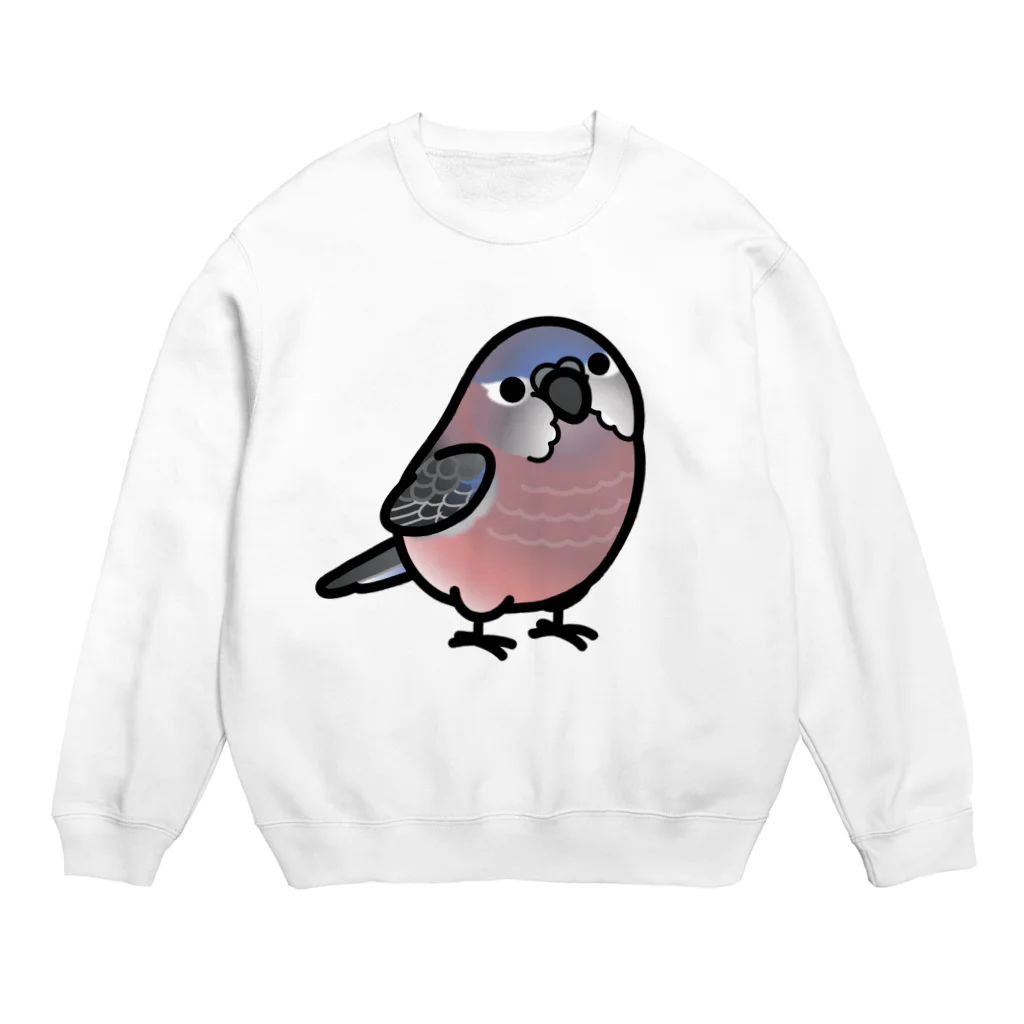 Cody the LovebirdのChubby Bird　アキクサインコ Crew Neck Sweatshirt