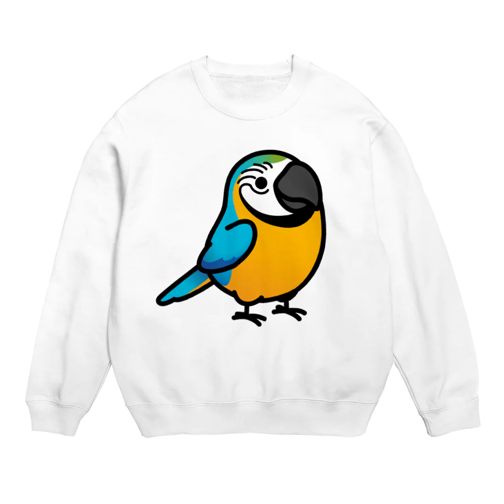 Cody the LovebirdのChubby Bird ルリコンゴウインコ Crew Neck Sweatshirt