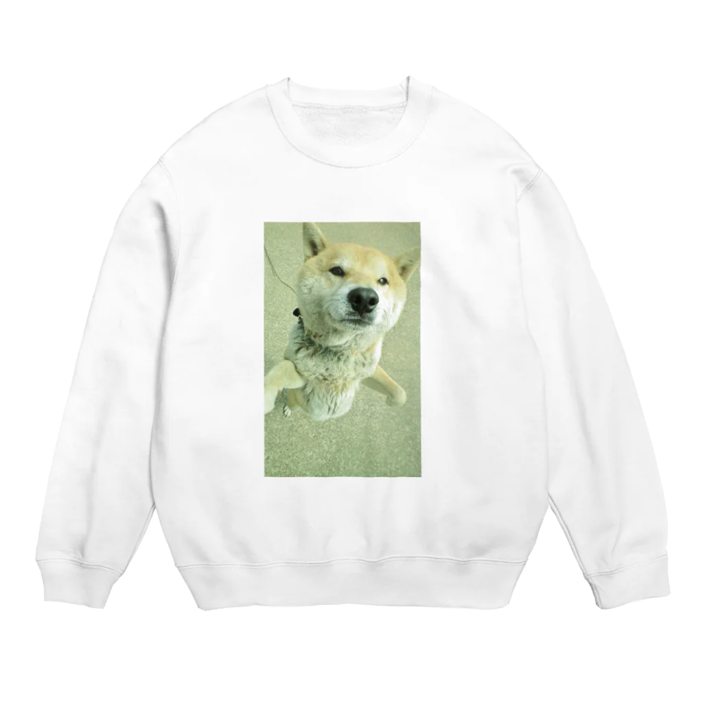 ゆずの柴犬ライチ② Crew Neck Sweatshirt