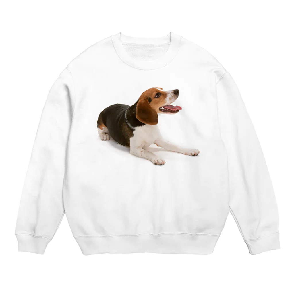 Rubbishのビーグル犬 Crew Neck Sweatshirt