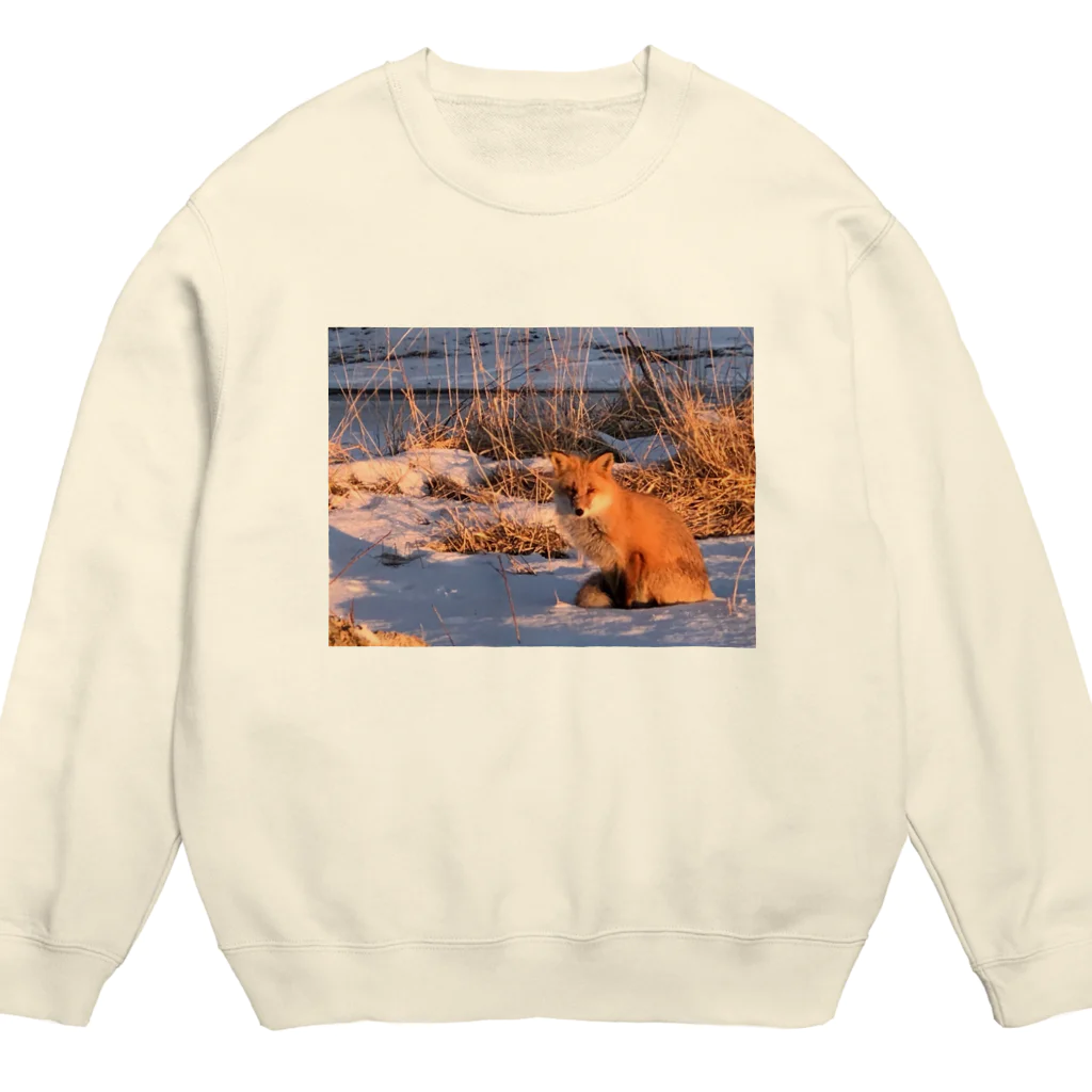 空屋　sorayakusakaの202201010715000　朝日の中のキタキツネ Crew Neck Sweatshirt