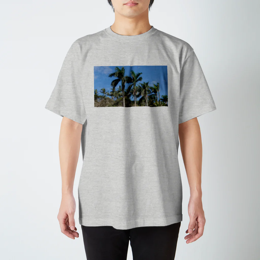 Tarataratarapi。のOKINAWA...mw スタンダードTシャツ