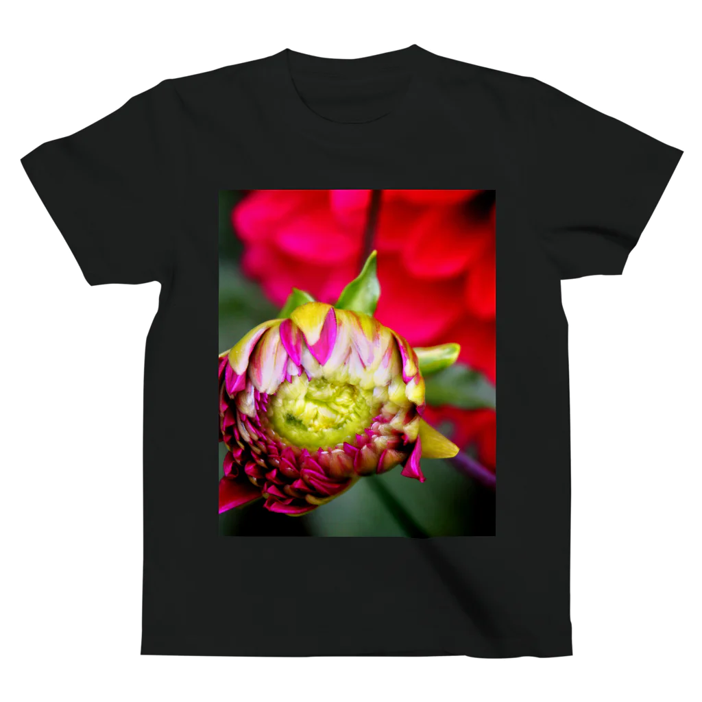 蜜と蝶の花と墨 b スタンダードTシャツ