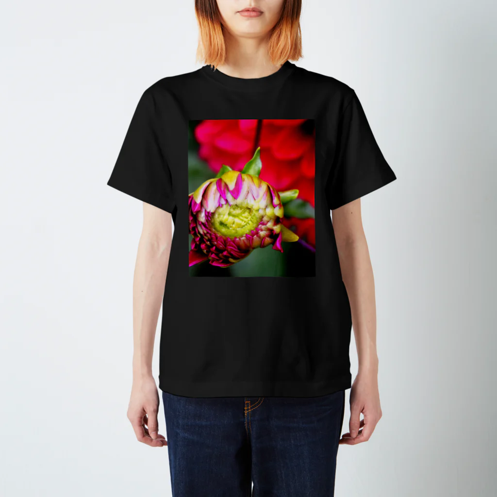 蜜と蝶の花と墨 b Regular Fit T-Shirt