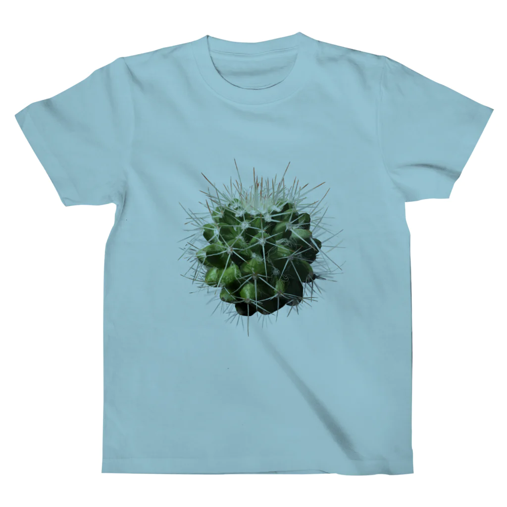 植物とかのサボテンくん スタンダードTシャツ