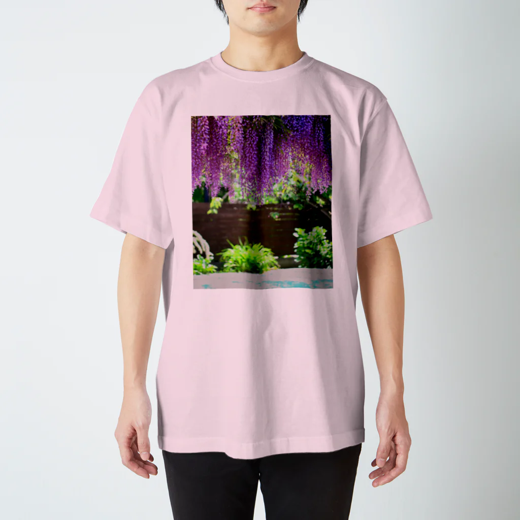 蜜と蝶の花びらプール c スタンダードTシャツ