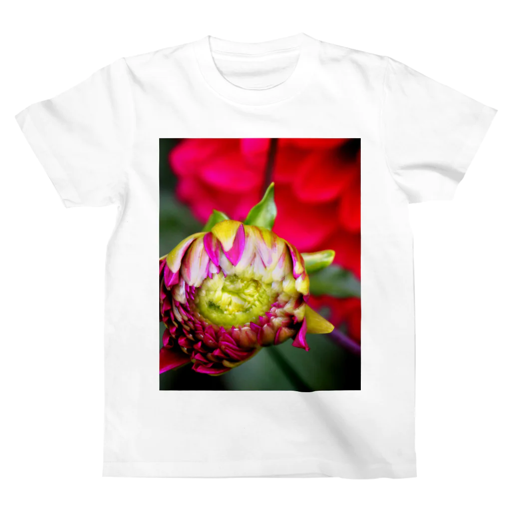 蜜と蝶の花と墨 b スタンダードTシャツ