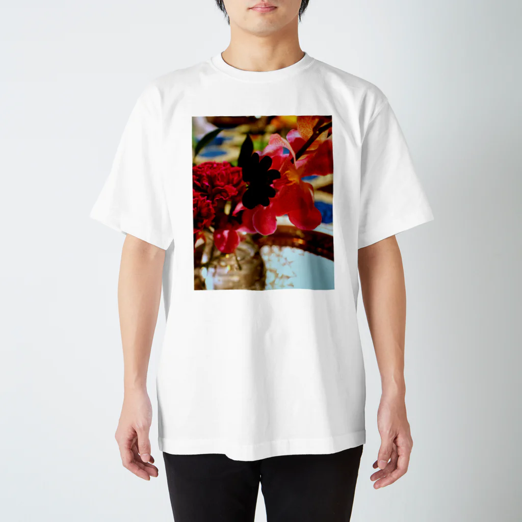 蜜と蝶の花と墨 a スタンダードTシャツ