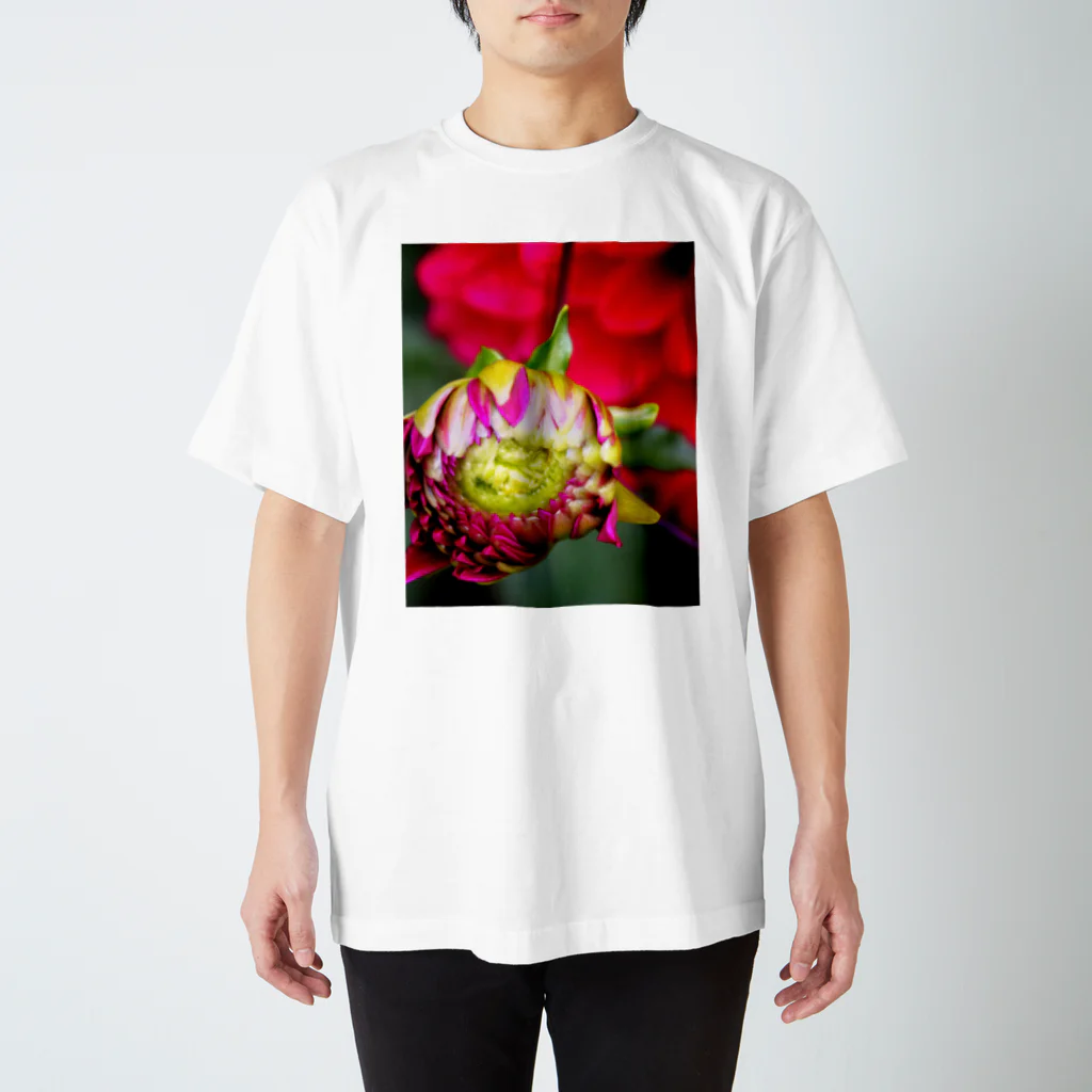 蜜と蝶の花と墨 b Regular Fit T-Shirt