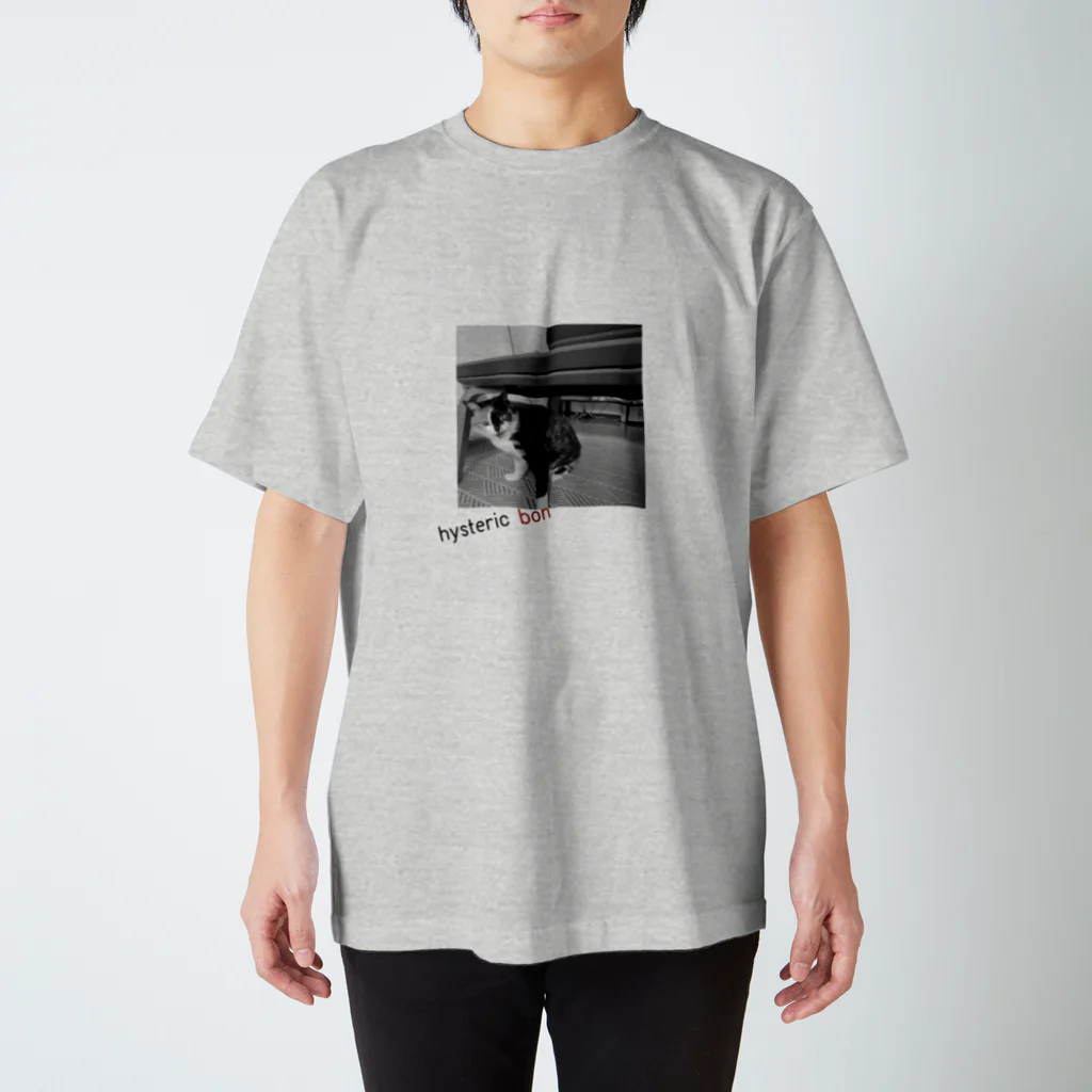 ぼんたぬきのぼんぼんたぬき Regular Fit T-Shirt