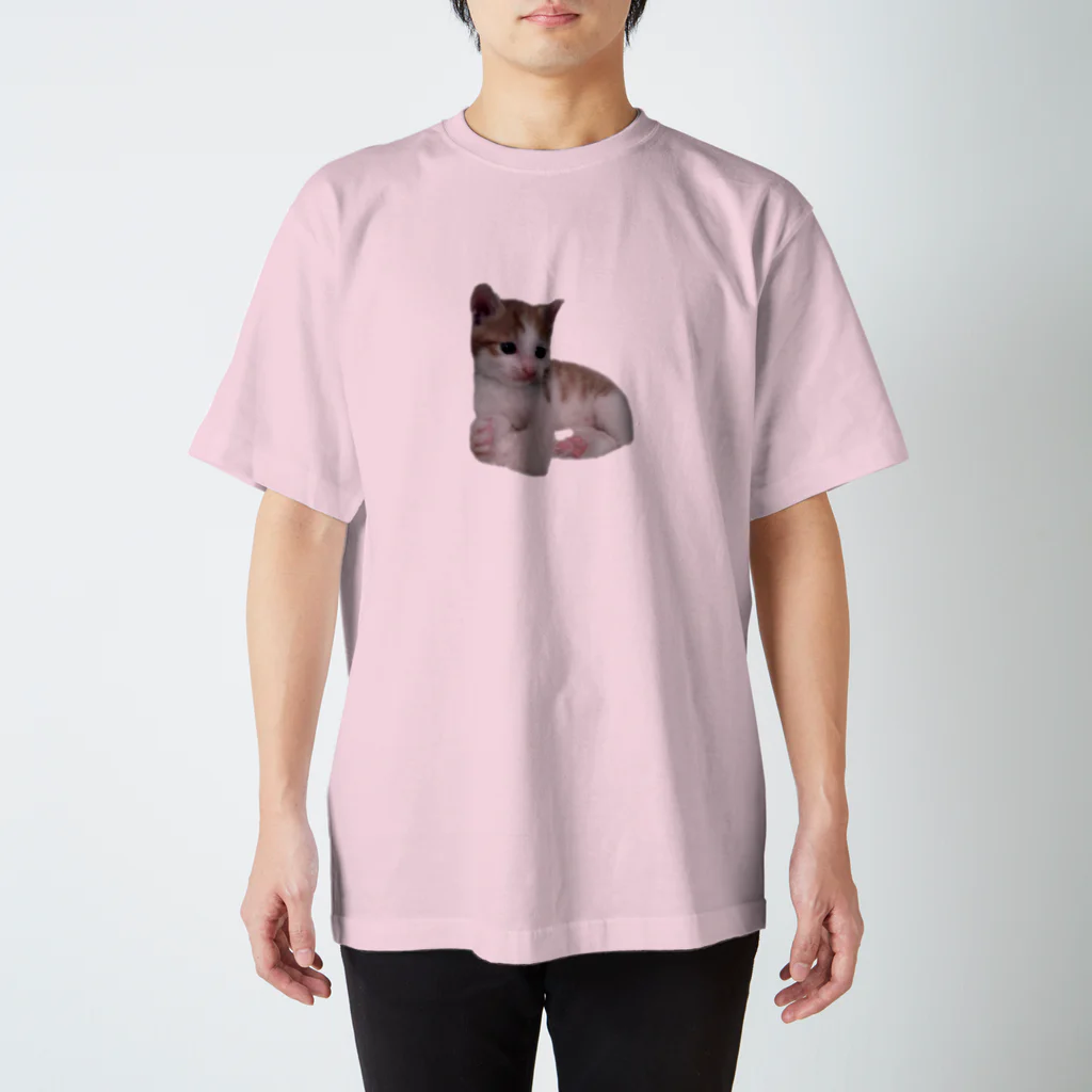 だっくのちびねこ スタンダードTシャツ