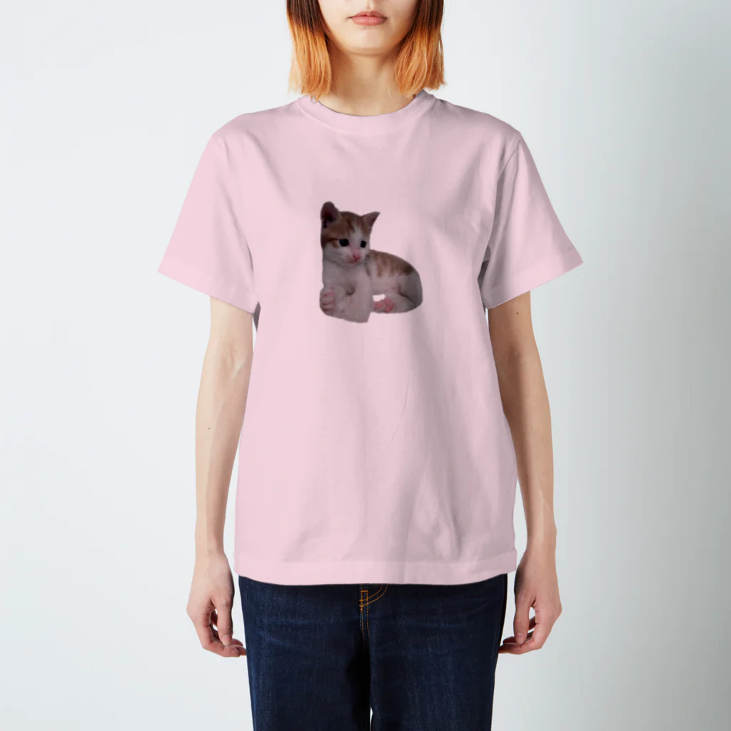 だっくのちびねこ スタンダードTシャツ